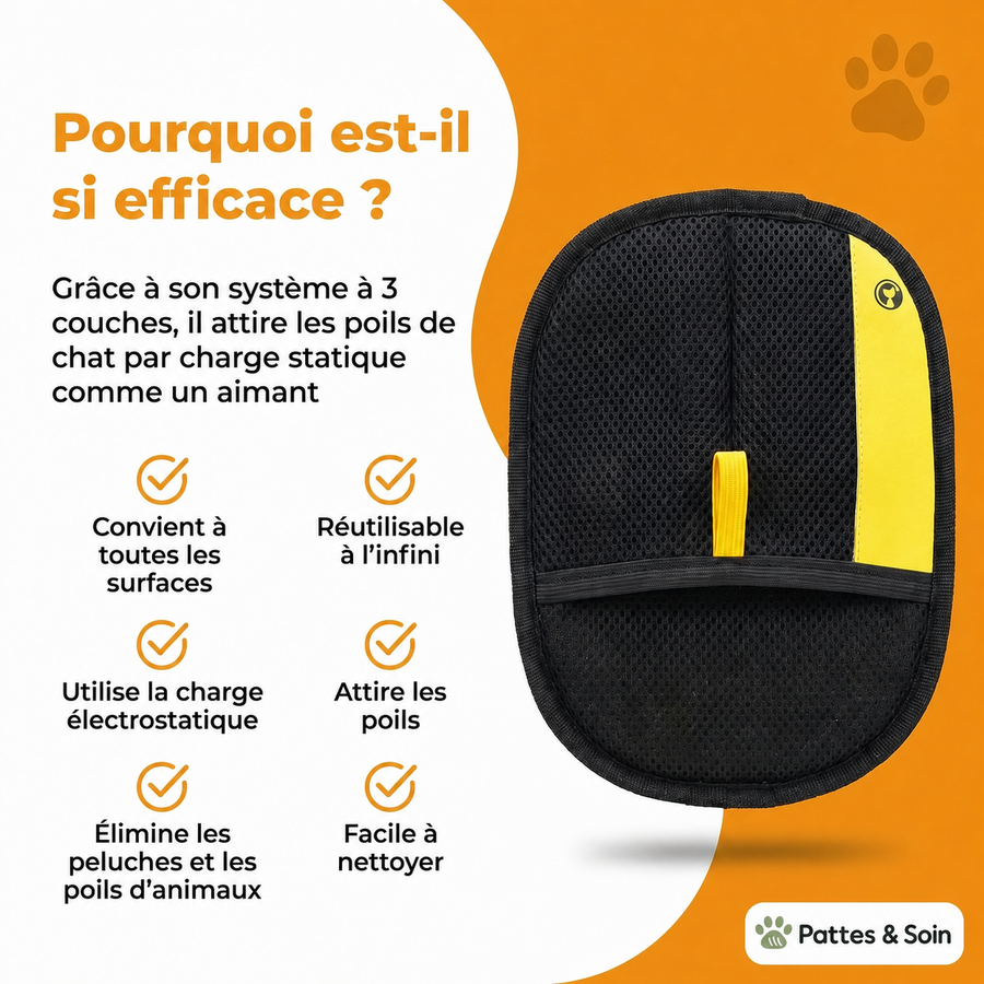 Avis de Matteo P.