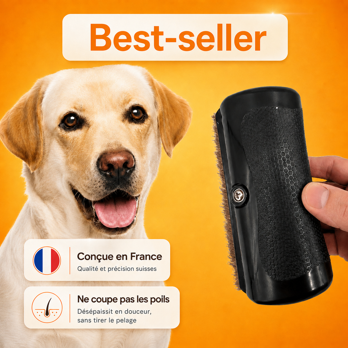 Brosse anti-poils pour animaux