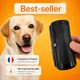 Brosse anti-poils pour animaux