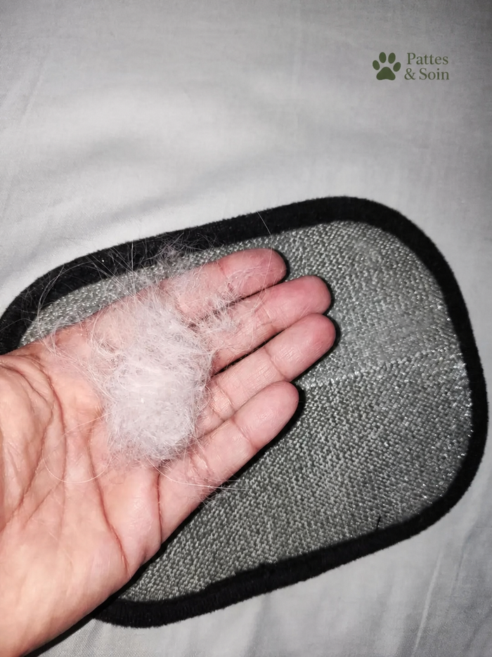 Enfin un canapé propre